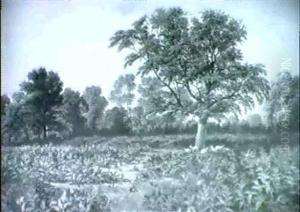 On The Common, Surrey - view 1
