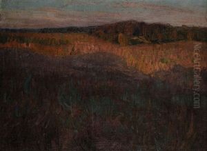 Heide- Und Sumpflandschaft by Felix Hollenberg