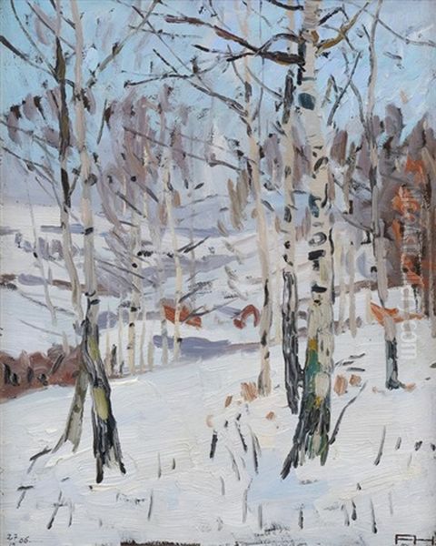 Birken Im Schnee (hinter Dem Schonblick) - view 1