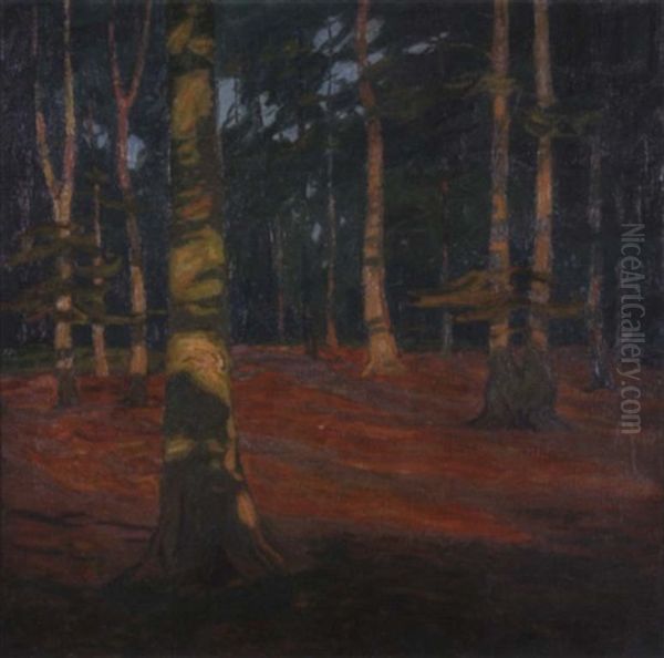Waldinneres - view 1