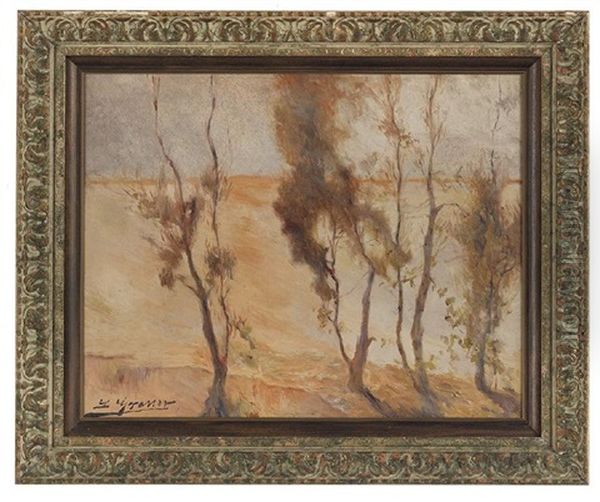 Eucalyptus Trees - view 1