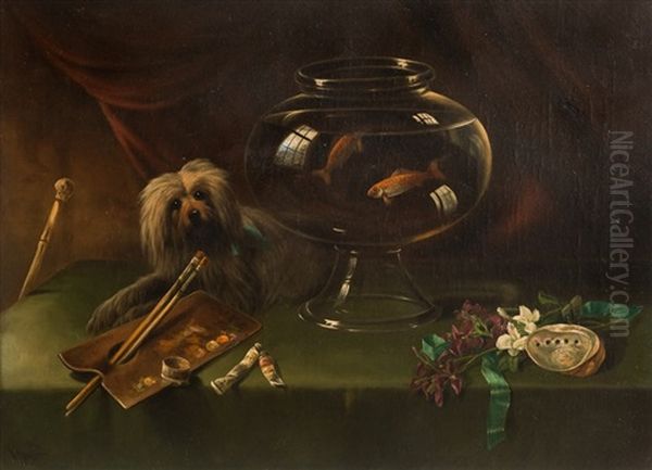 Goldfish - view 1