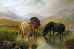 Shetland Horses Watering At Mountain Lake by William Perring Hollyer