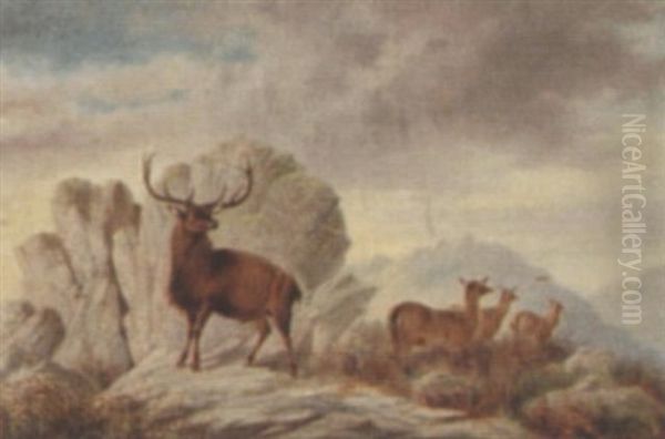 A Stag And Deer In A Highland Landscape - view 1
