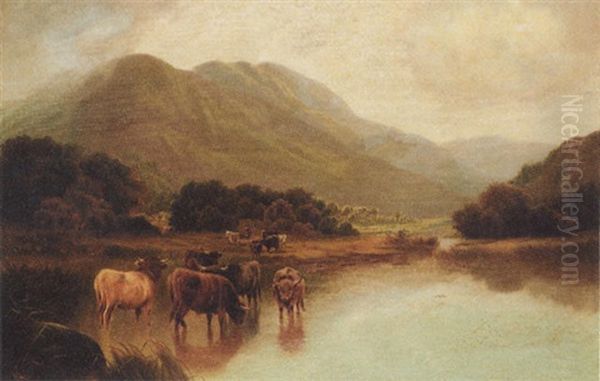 Highland Cattle Watering In A Mountainous Landscape - view 1