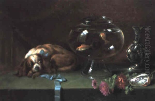 Pets - view 1