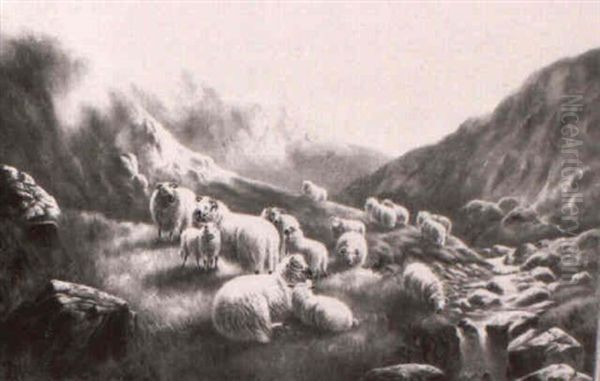 Sheep In A Highland Landscape - view 1