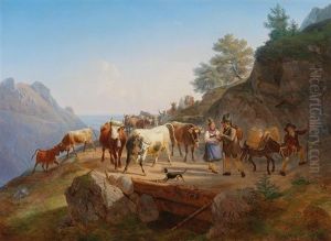 Mountain Grazing