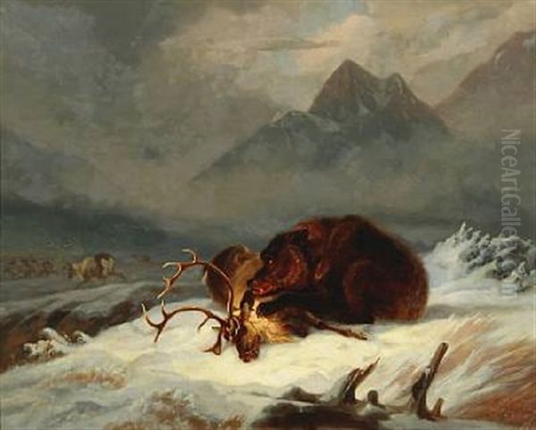 A Bear With Its Prey - view 1