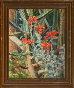 Echeveria. Blomstrende Sukkulenter by Harald Martin Hansen Holm