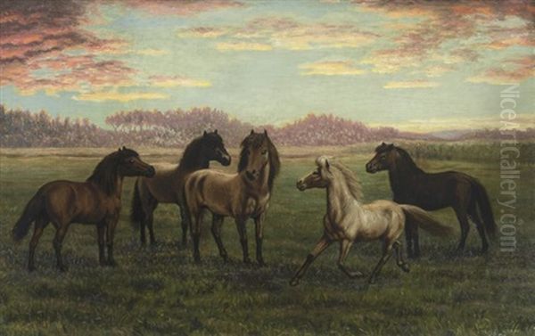 Horses In Pasture - view 1