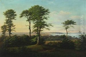 A Danish Summer Landscape With A View To Arhus Town