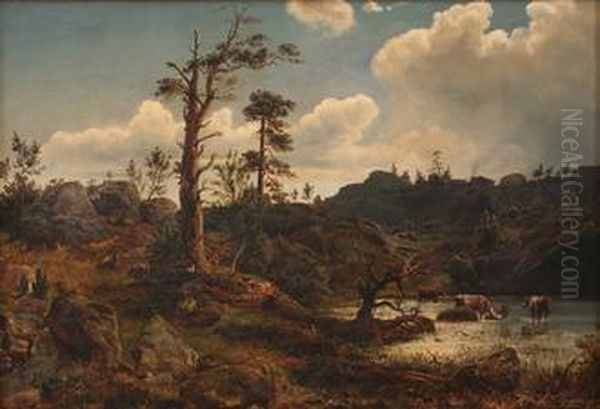 Landskap Med Kuer Og Geiter - view 1