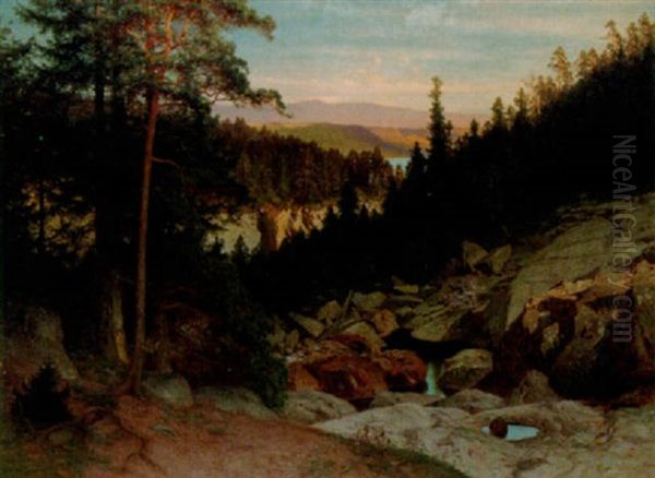 Doda Fallet - Landskap Fran Jamtland - view 1
