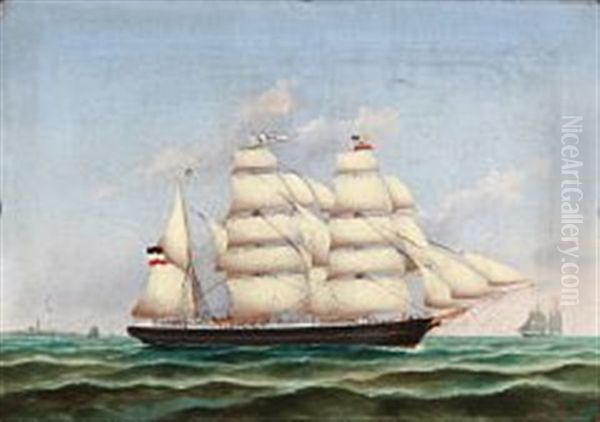 The Bark Alma From Schleswig-holstein - view 1