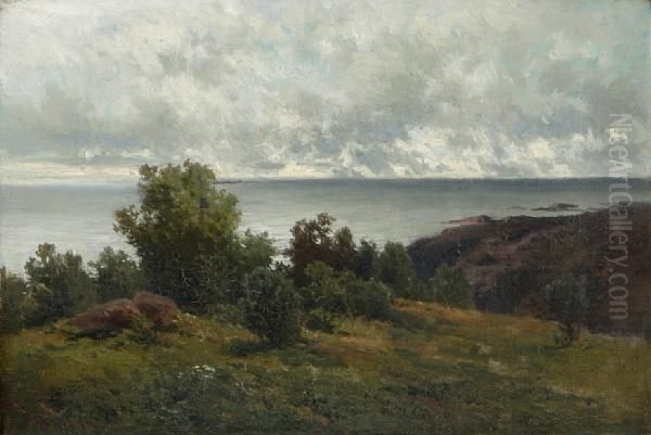 A Coastal Scene Under Cloudy Skies - view 1