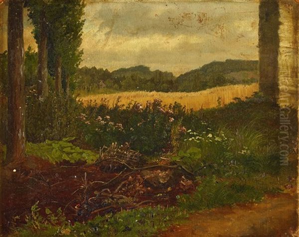 Landskap - view 1