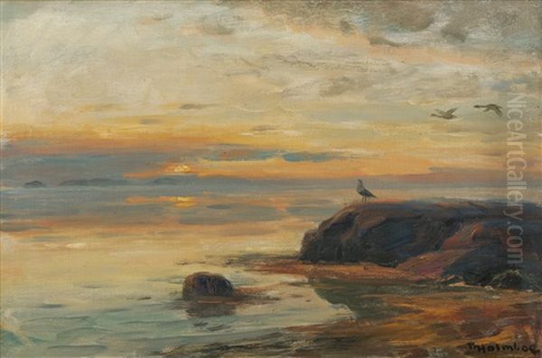 Sjofugler I Kystlandskap - view 1