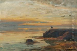 Sjofugler I Kystlandskap by Thorolf Holmboe