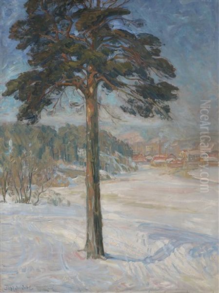 Vinterlandskap Klosterenga Mot Kvaerndalen - view 1