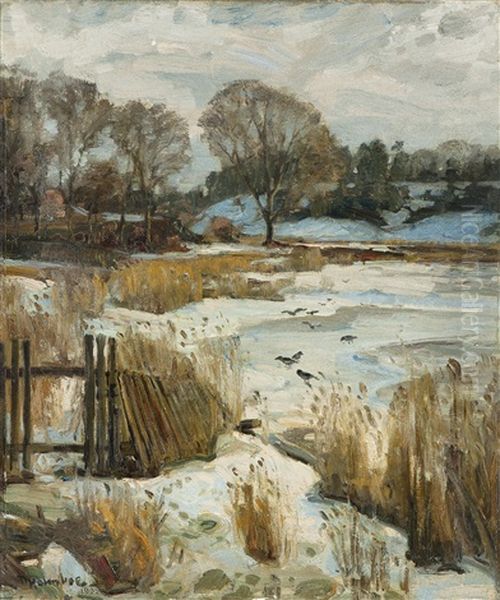 Senvinter - view 1