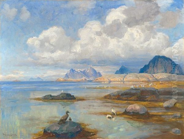 Sjofugler Ved Kysten Nordpa - view 1