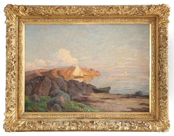 Aftensol Ved Kysten - view 1
