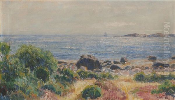 Sommerlandskap Ved Sjoen - view 1
