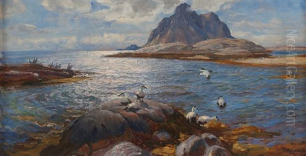 Nordnorsk Kystlandskap Med Sjofugler - view 1