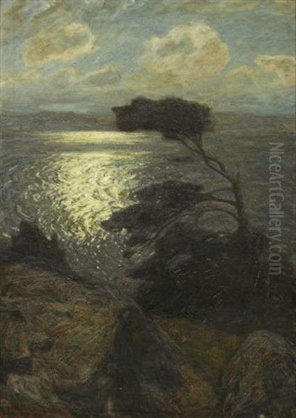 Kustlandskap Med Midnattssol - view 1
