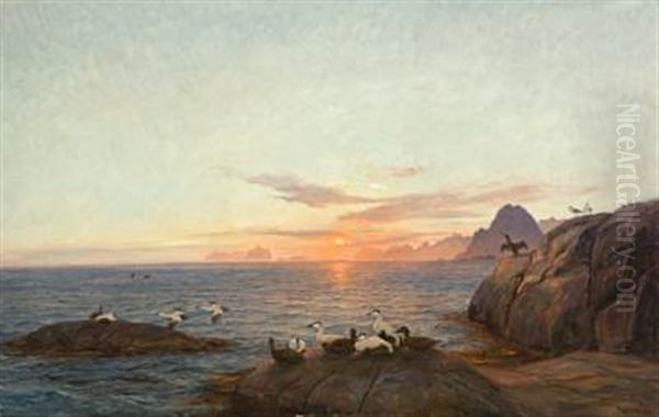 Solen Gar Ned I Nord - view 1