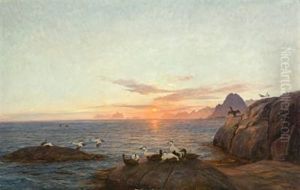 Solen Gar Ned I Nord by Thorolf Holmboe