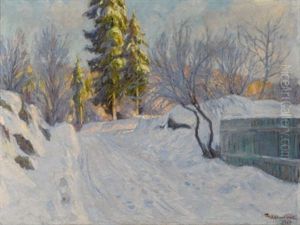 Snow Scene Snow Scene