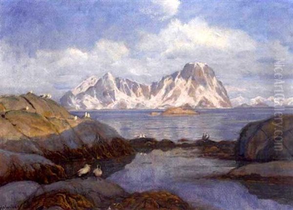 Nordlandskyst Med Sjofugler - view 1