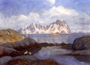 Nordlandskyst Med Sjofugler Nordlandskyst Med Sjofugler