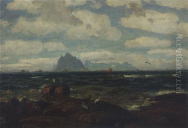 Fugleliv Pa Klippene - view 1