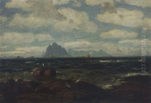 Fugleliv Pa Klippene by Thorolf Holmboe