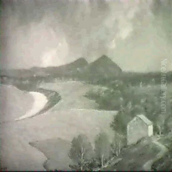 Turnips, Falkirk - view 1