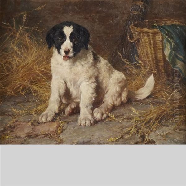 Spaniel Puppy In A Barn - view 1