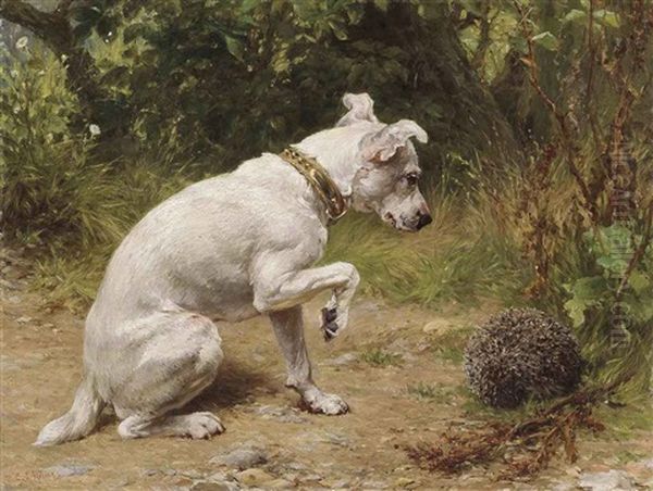 A Prickly Encounter - view 1