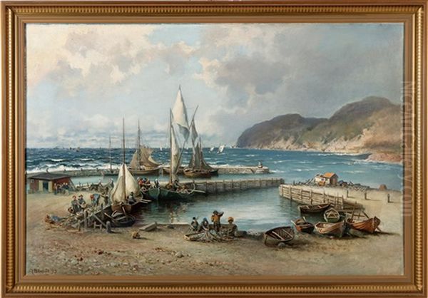 Motiv Fran Molle Hamn - view 1