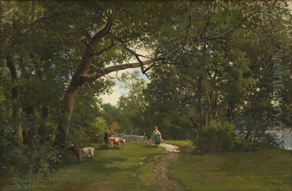 Sommardag - view 1