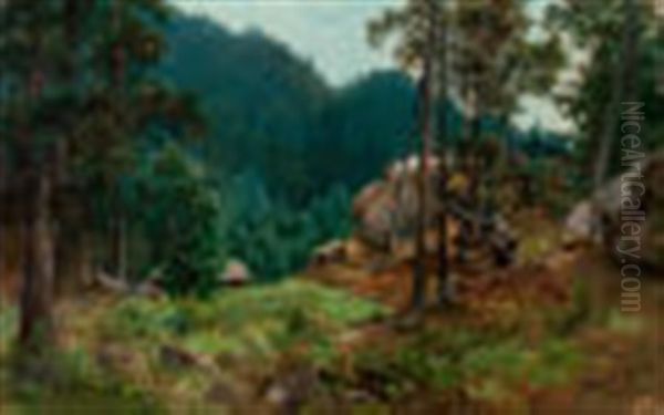Swedish National Park - view 1