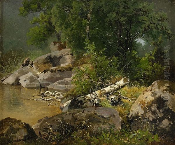 Landskap Med Skog, Vatten, Klippor Och Fallen Bjorkstam - view 1