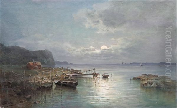 Fiskelage I Manljus - view 1