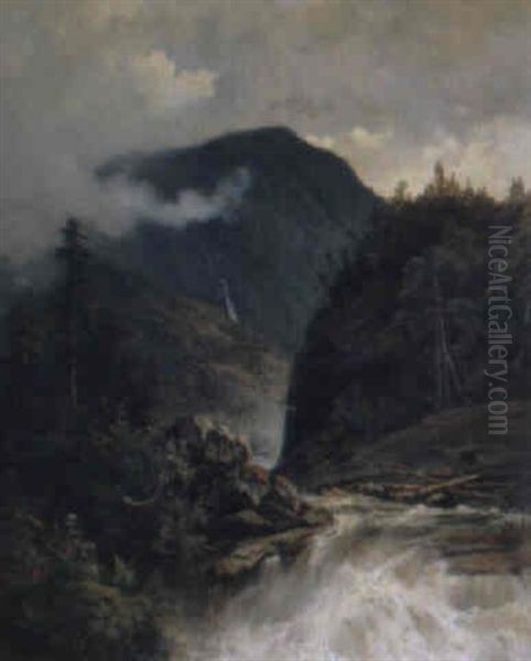 Landskap Fran Hallingdalen - view 1