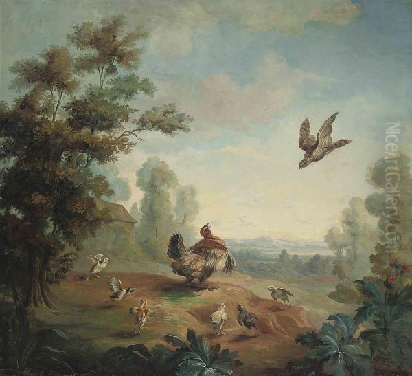 A Hen Protecting Her Chicks From A Peregrine Falcon - view 1