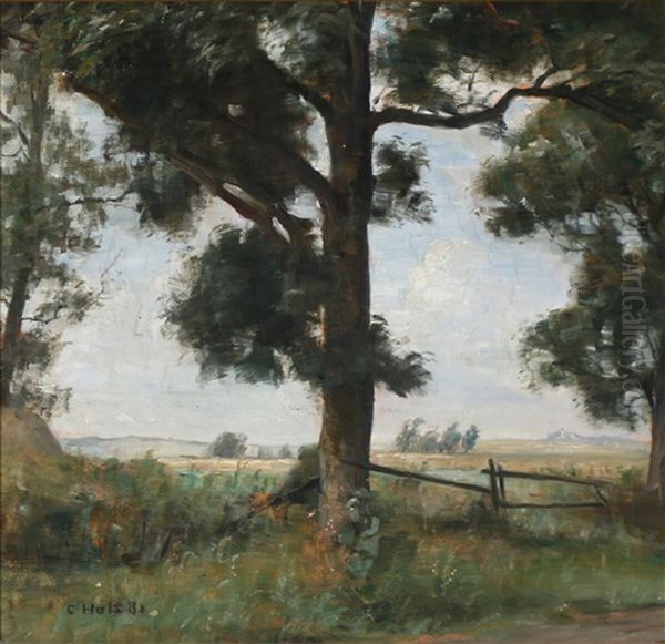 A View Of Cornfields Seen From The Edge Of The Woods - view 1
