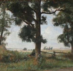 A View Of Cornfields Seen From The Edge Of The Woods