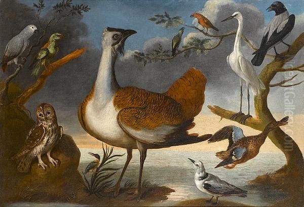 Study Of Birds On A Bank, A Grey Parrot, A Roller, A Tawny Owl, A Kingfisher, A Great Bustard, Male And Female Crossbill, A Kittywake, A Shoveller Duck, A Great White Egret And A Hooded Crow - view 1